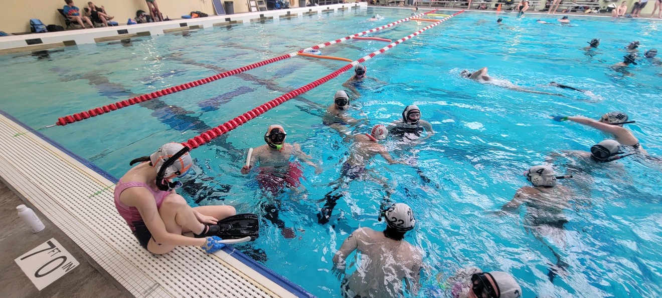 Underwater hockey photo 3