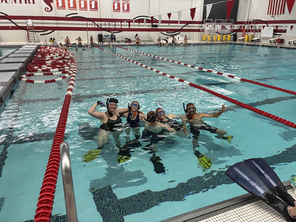 Underwater hockey photo 6